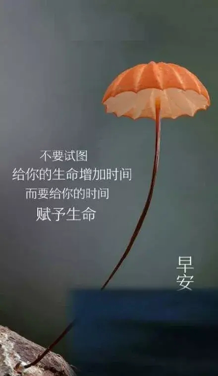 励志早安心语正能量短句（励志早安金典的短句 激励人心的正能量句子）