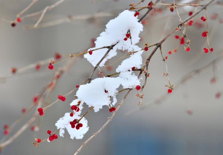 关于雪的浪漫文案