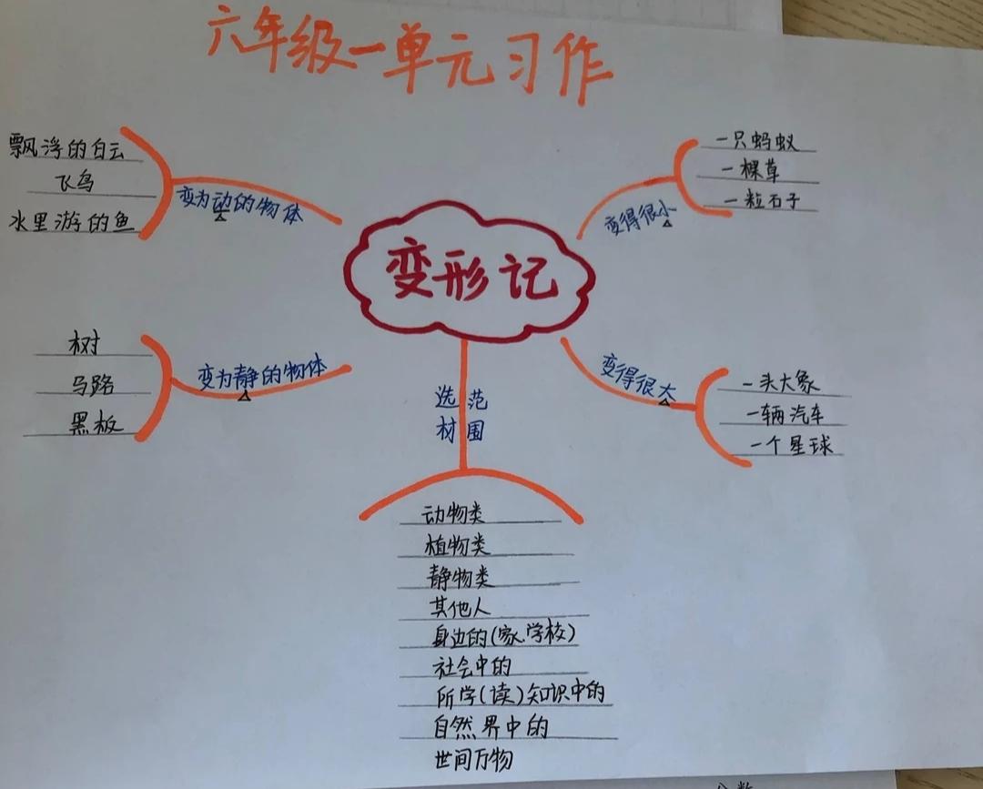 六年级语文上册第一单元的作文《变形记》