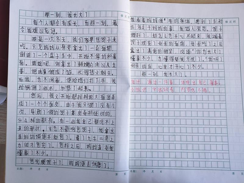 作文那一刻我长大了500字