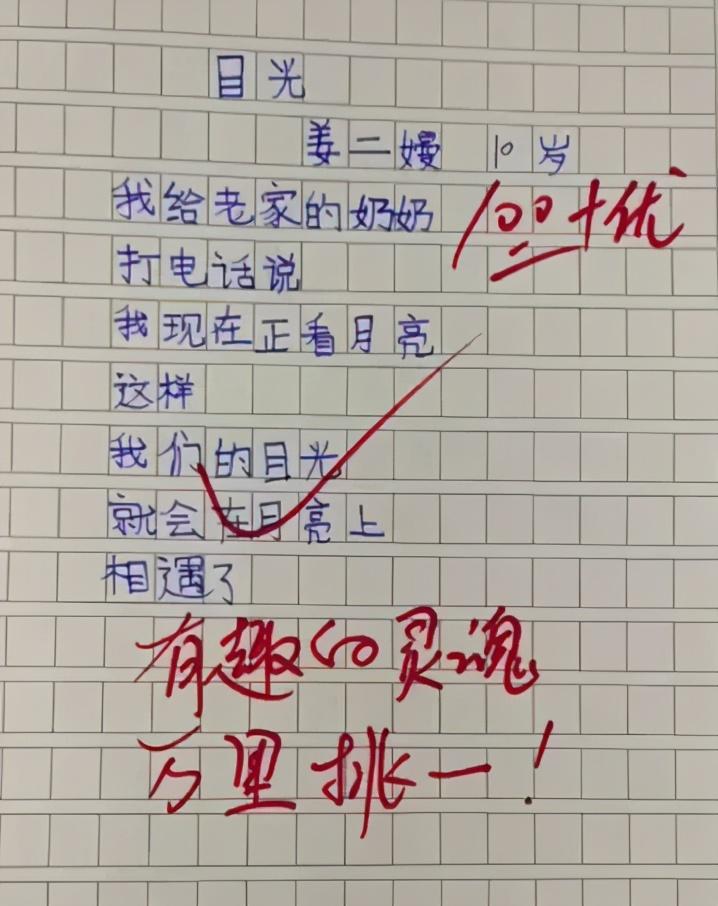 目光小作文100字