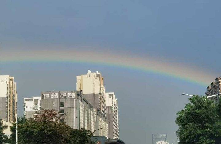 我爱夏季的雨作文600字