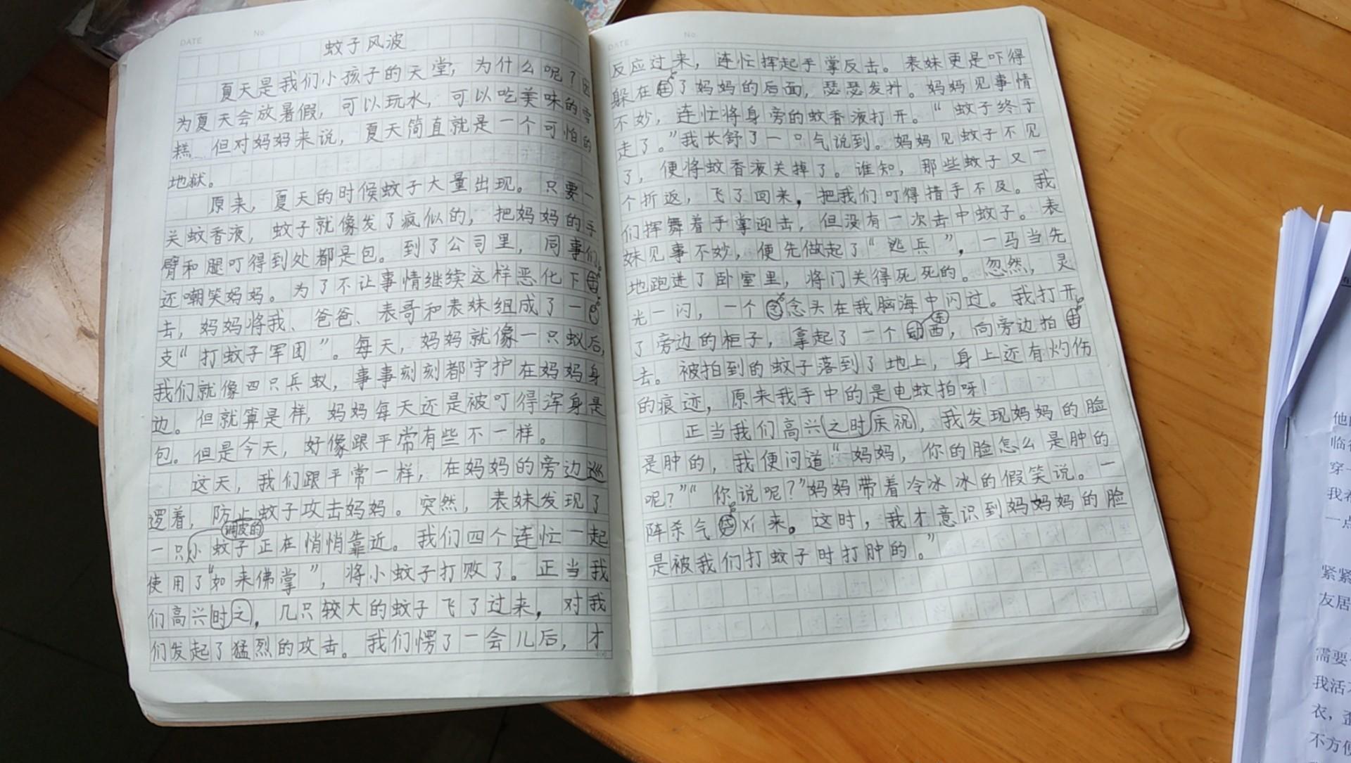 蚊子风波作文400字