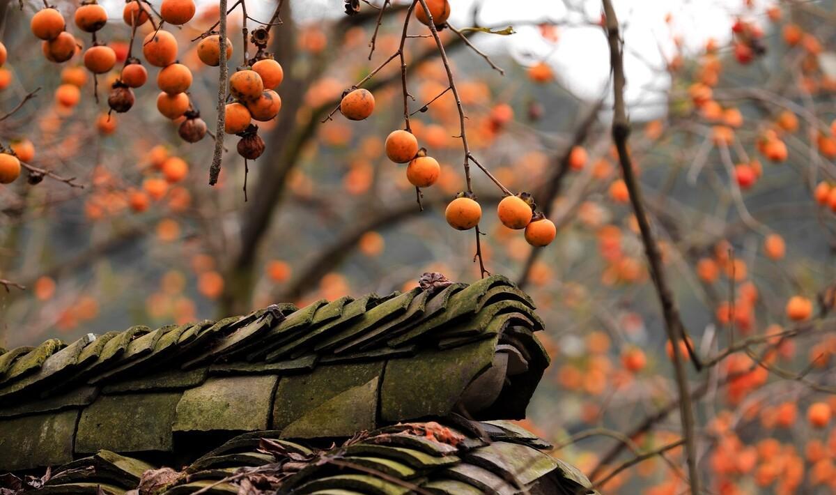 以你真的很重要为题写一篇作文