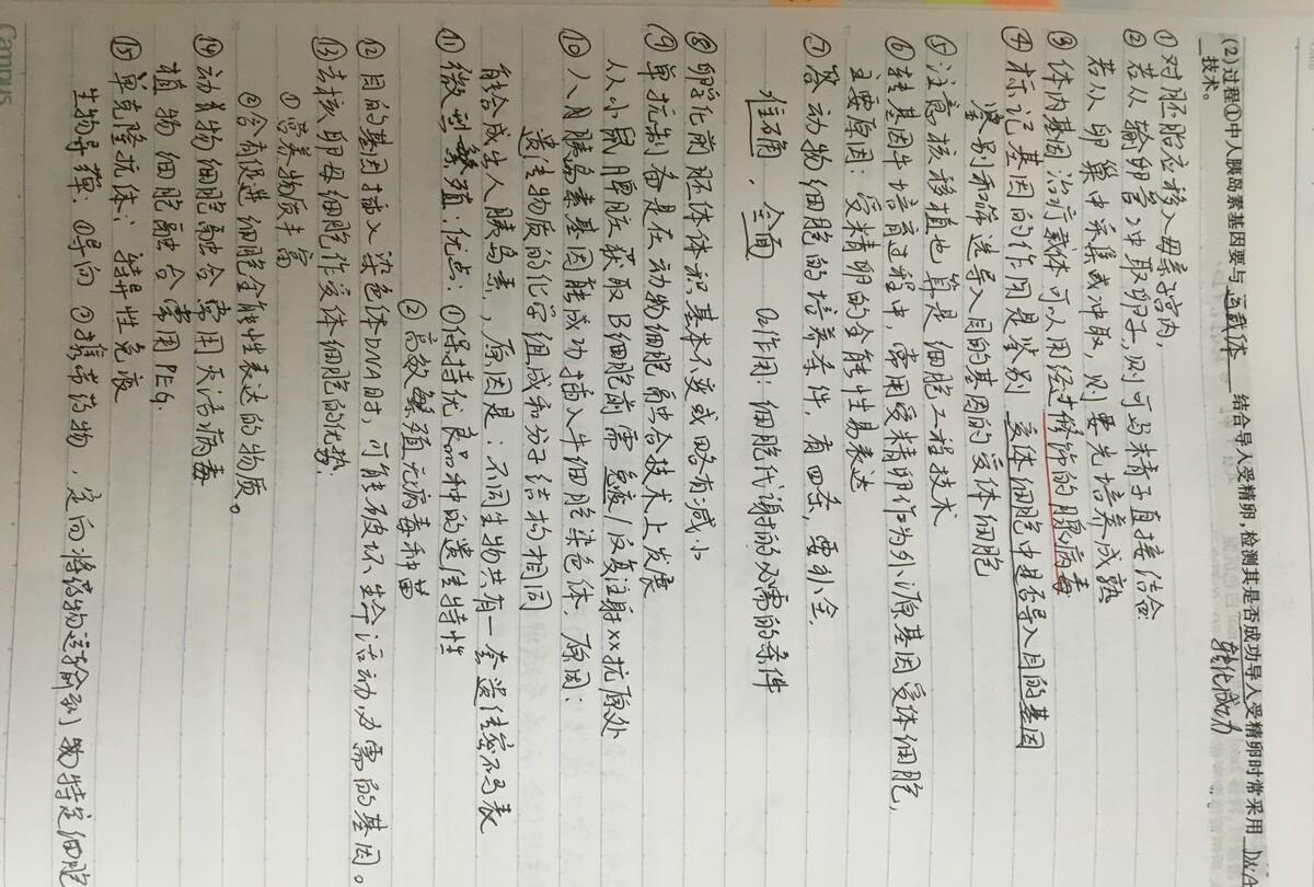 中考满分作文得分技巧