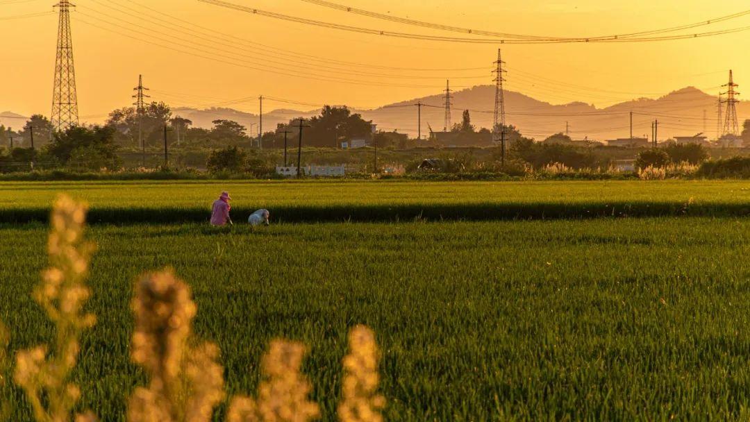 山水田园诗合集