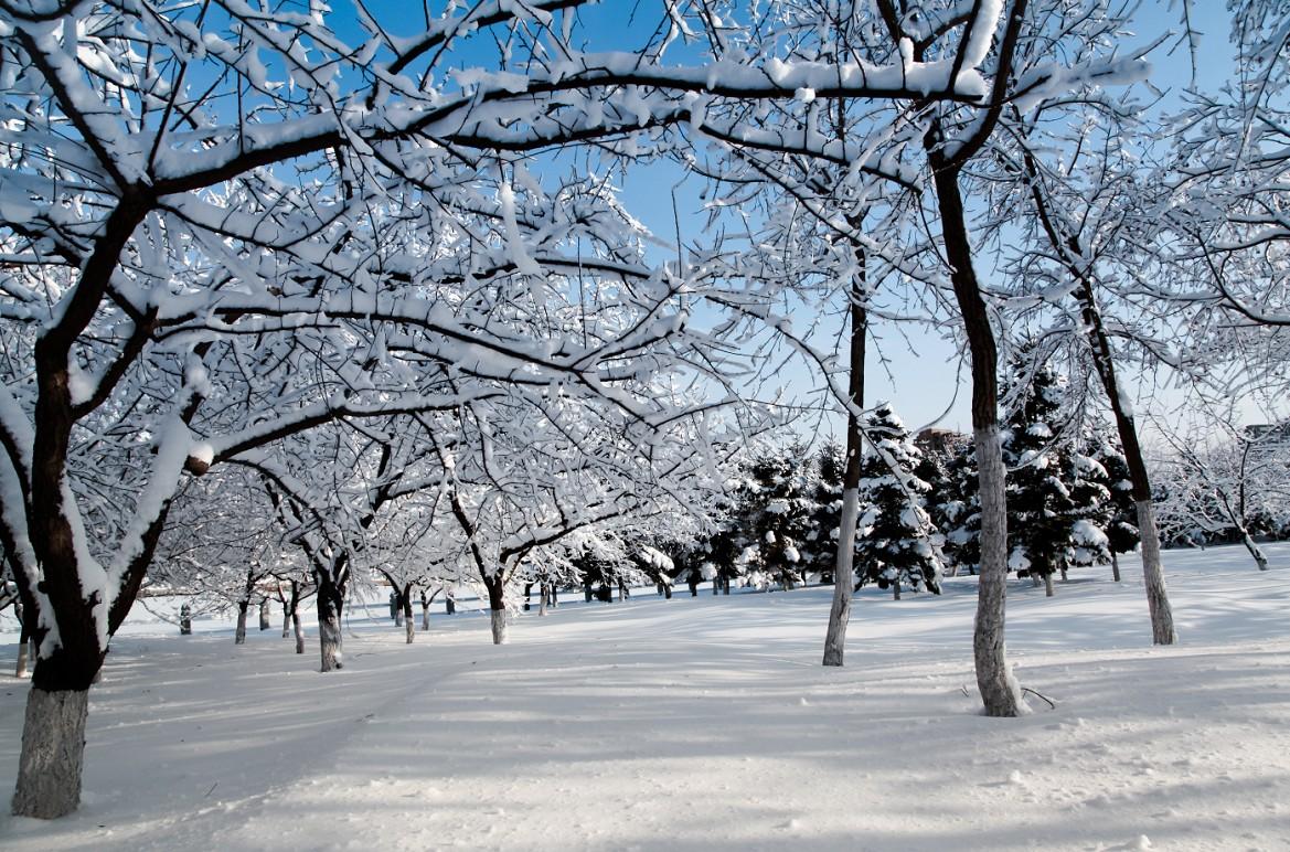 关于雪的浪漫文案