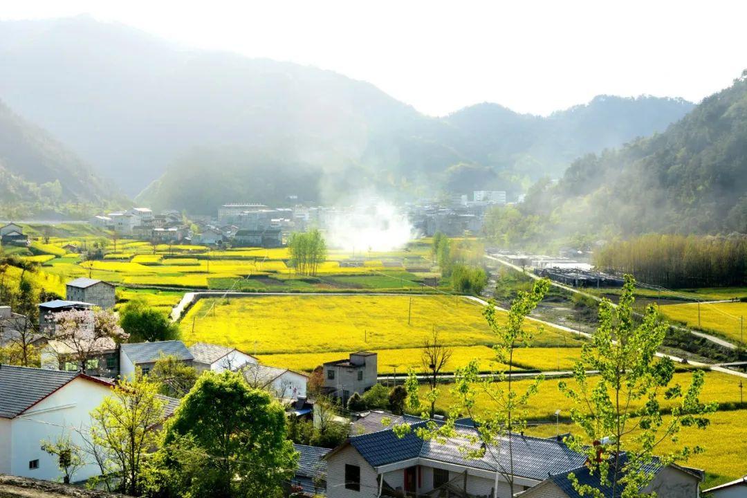 山水田园诗合集