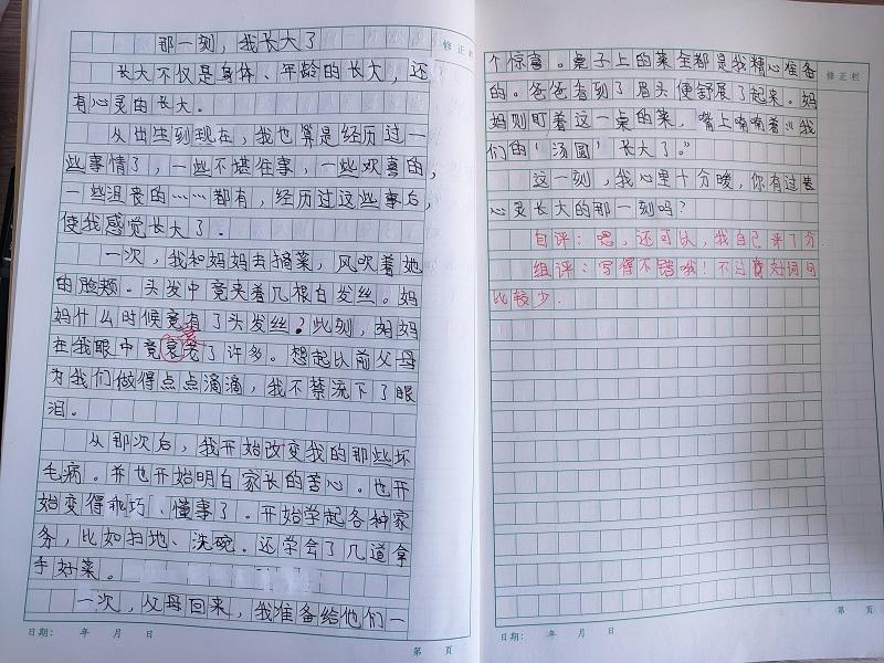 作文那一刻我长大了500字