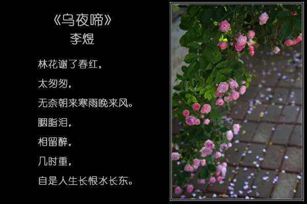 有关雨的飞花令