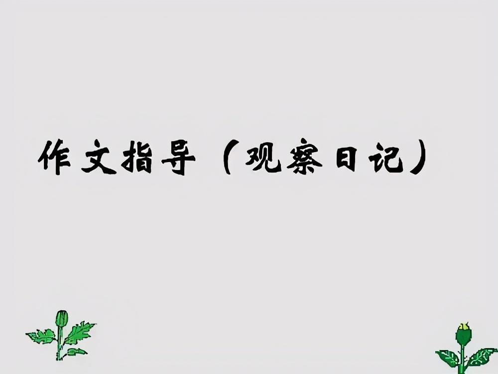 四年级上学期第三单元作文《观察日记》