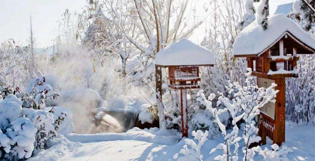 关于对雪的赞美诗歌