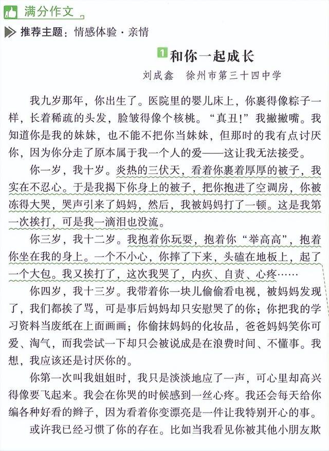 种下一颗坚持的种子作文600字