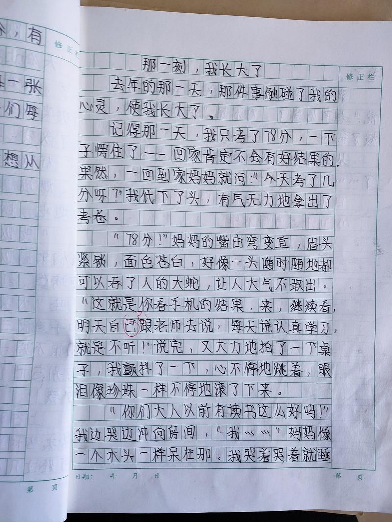 作文那一刻我长大了500字