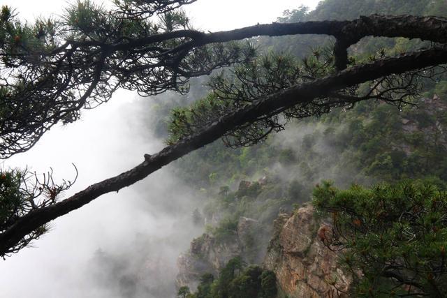 苏东坡在庐山写的五首诗