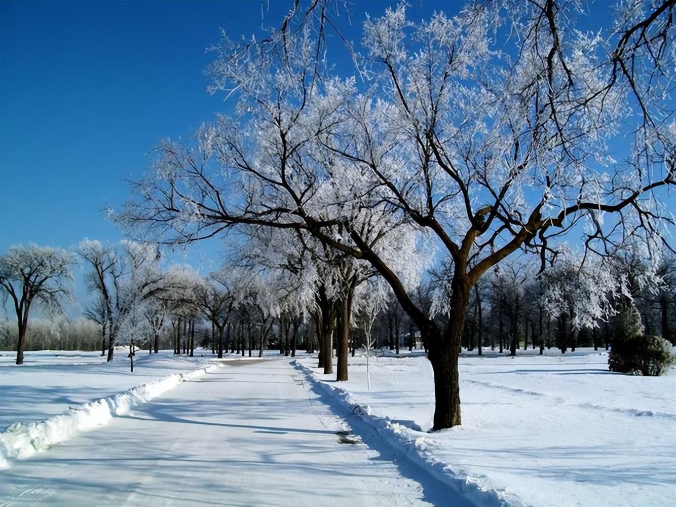 关于雪的浪漫文案