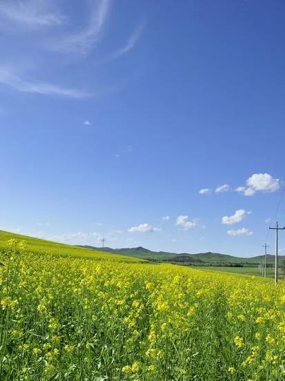 情景交融的写景作文500字六年级