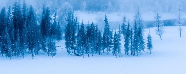 写雪作文指导