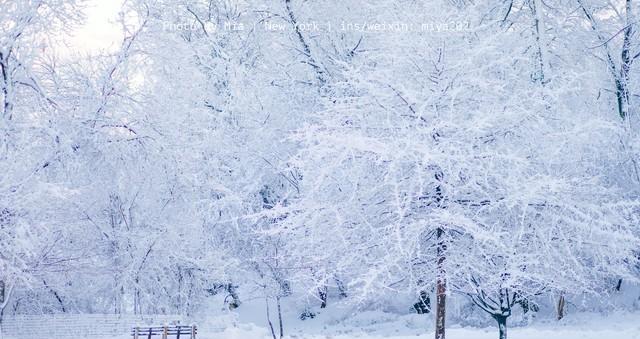 写雪作文指导