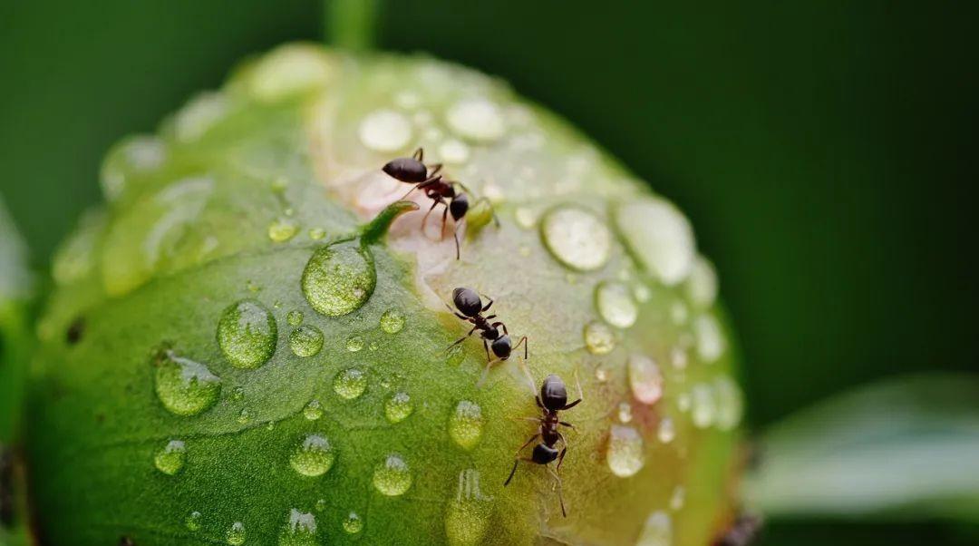 雨水诗句古诗大全