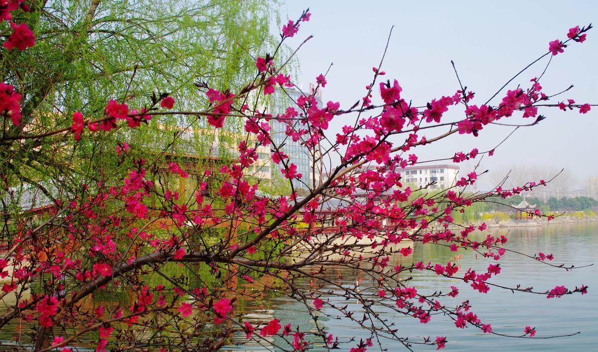 飞花令,水