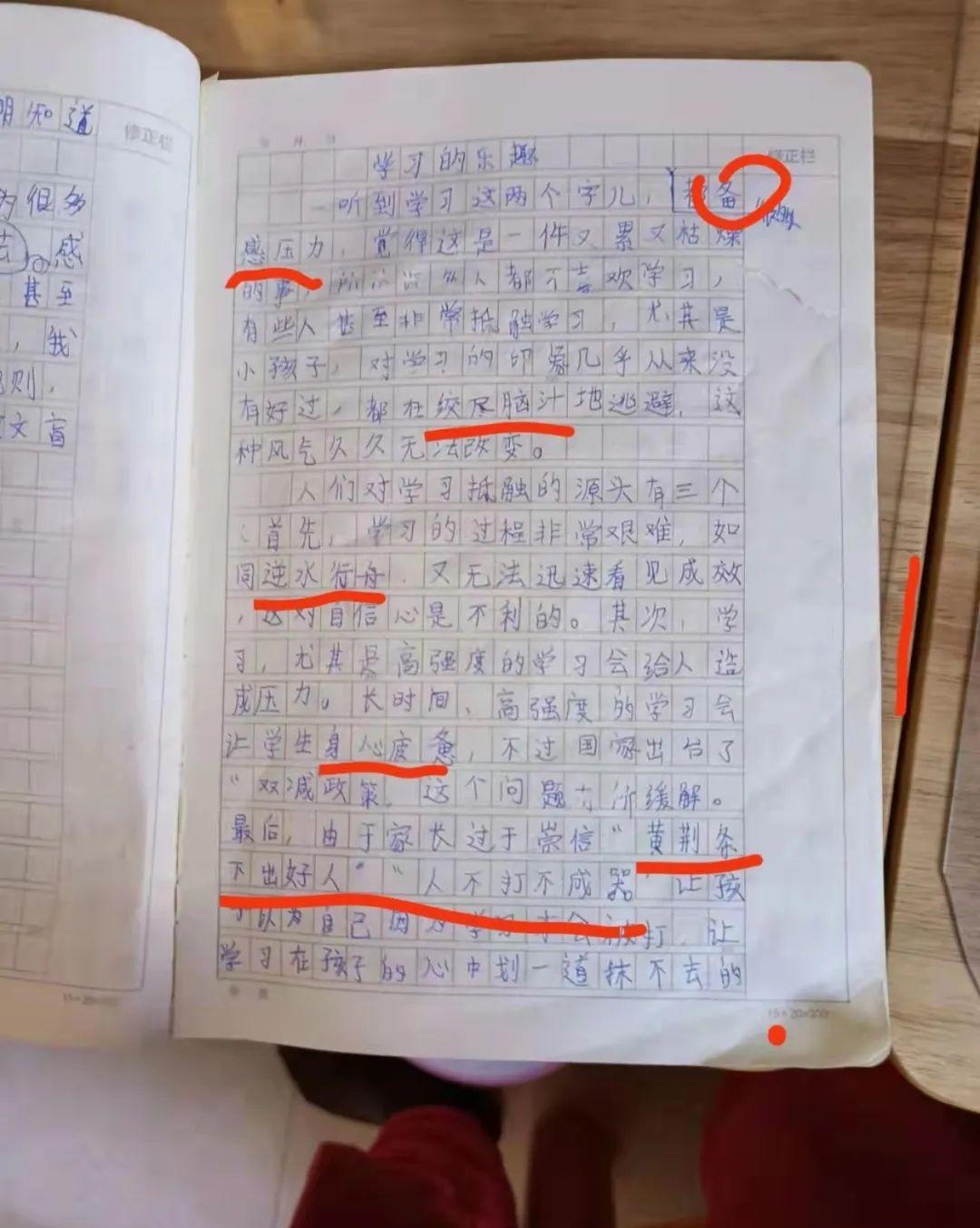 《学习的乐趣》作文范文