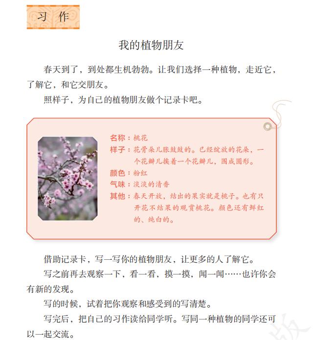 《我的植物朋友》优秀作文