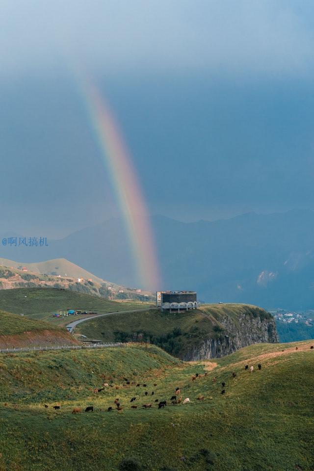 英文排版格式要求