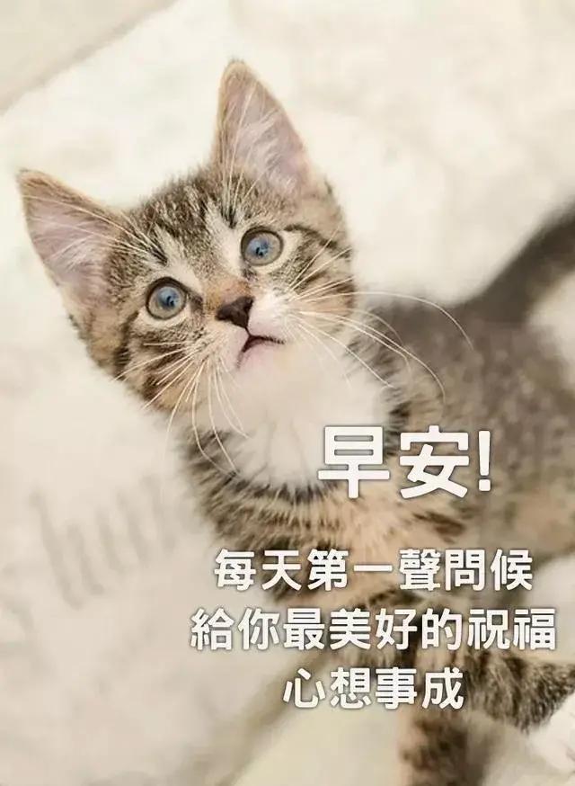 朋友圈暖心早安语