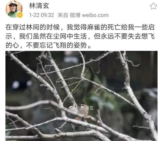 林清玄经典唯美句子