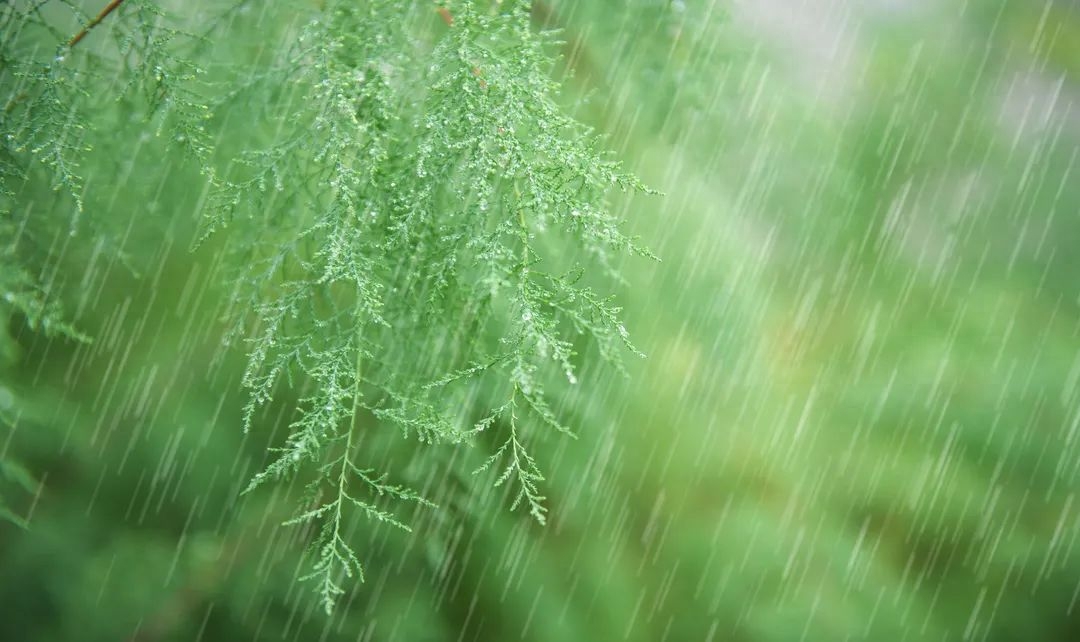 飞花令春诗句全集