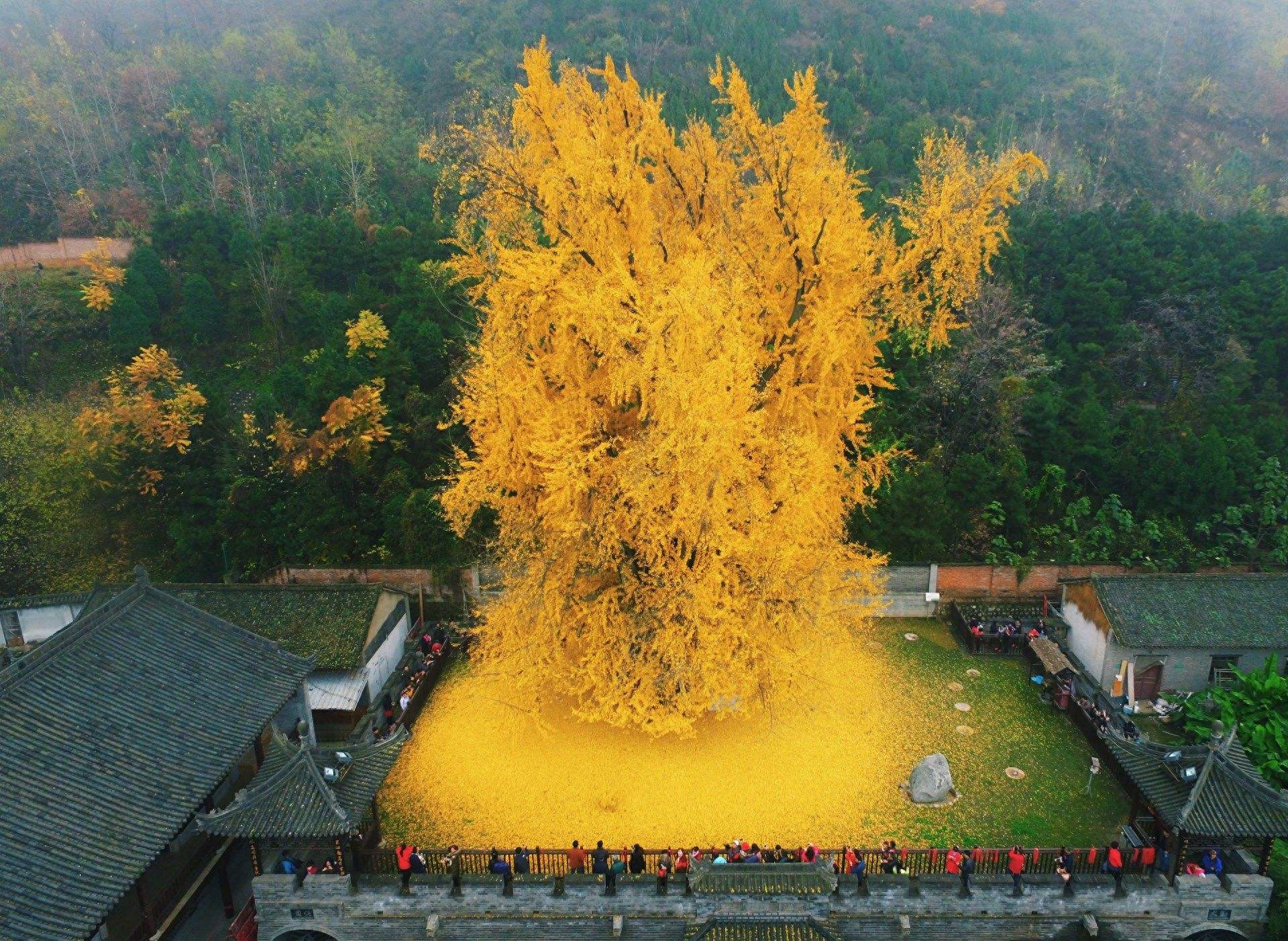 王维终南山原文