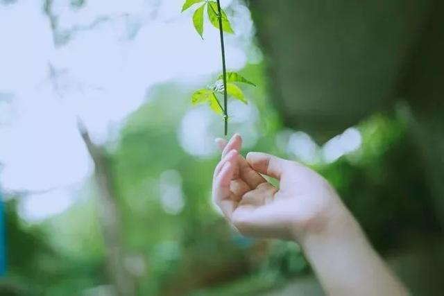 格局大的人,从不纠缠（格局越大越不纠缠是什么意思）