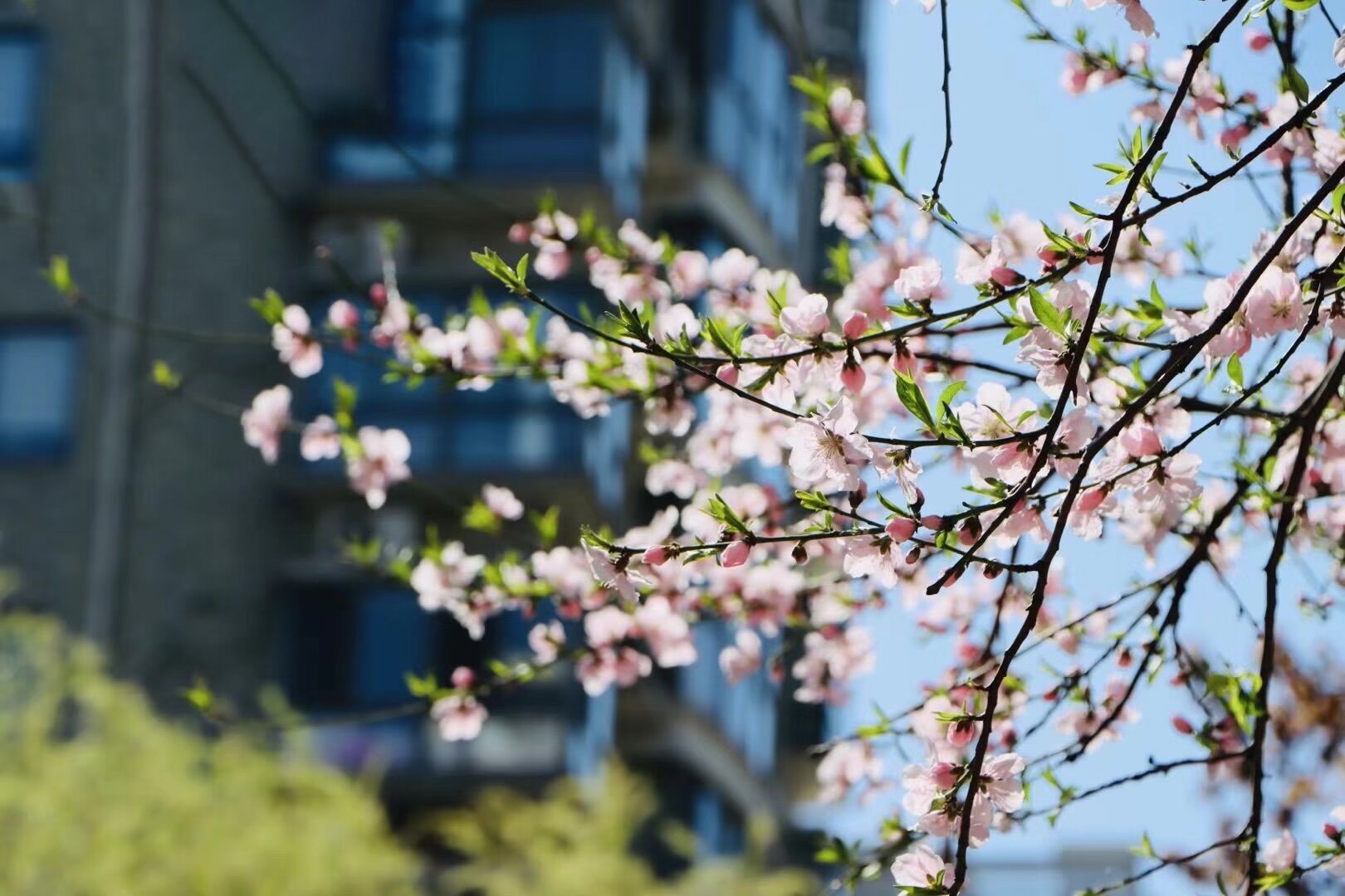 吕不韦投资异人的成语（吕不韦一个成语典故）