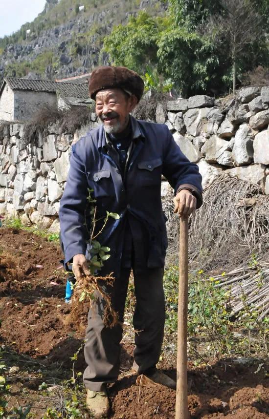 子欲养而亲不待。趁着父母还健在请多孝敬父母，温暖陪伴不留遗憾