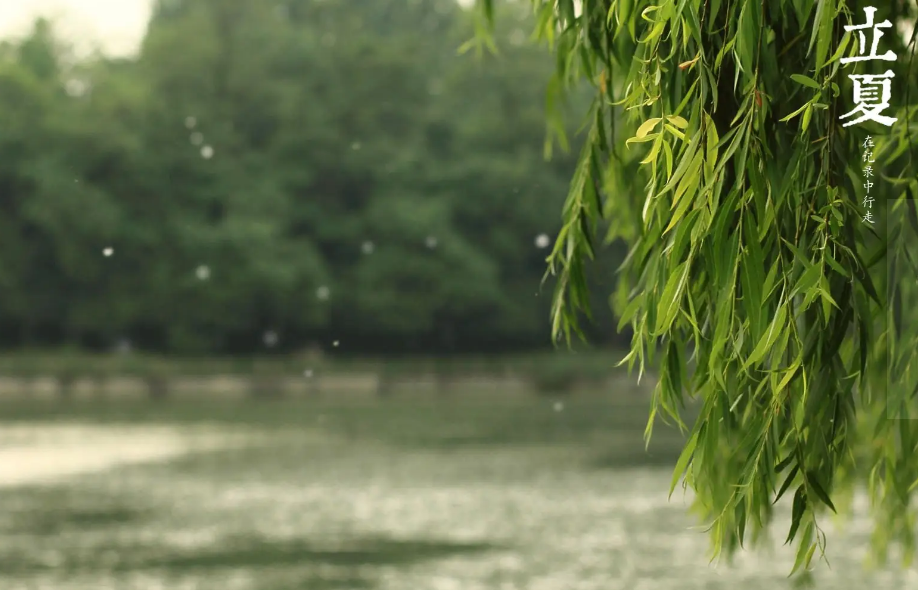 周嗣远 | 林中尽赏鸣禽叫，风雨桥头话夏归（夏天之歌二十五首）