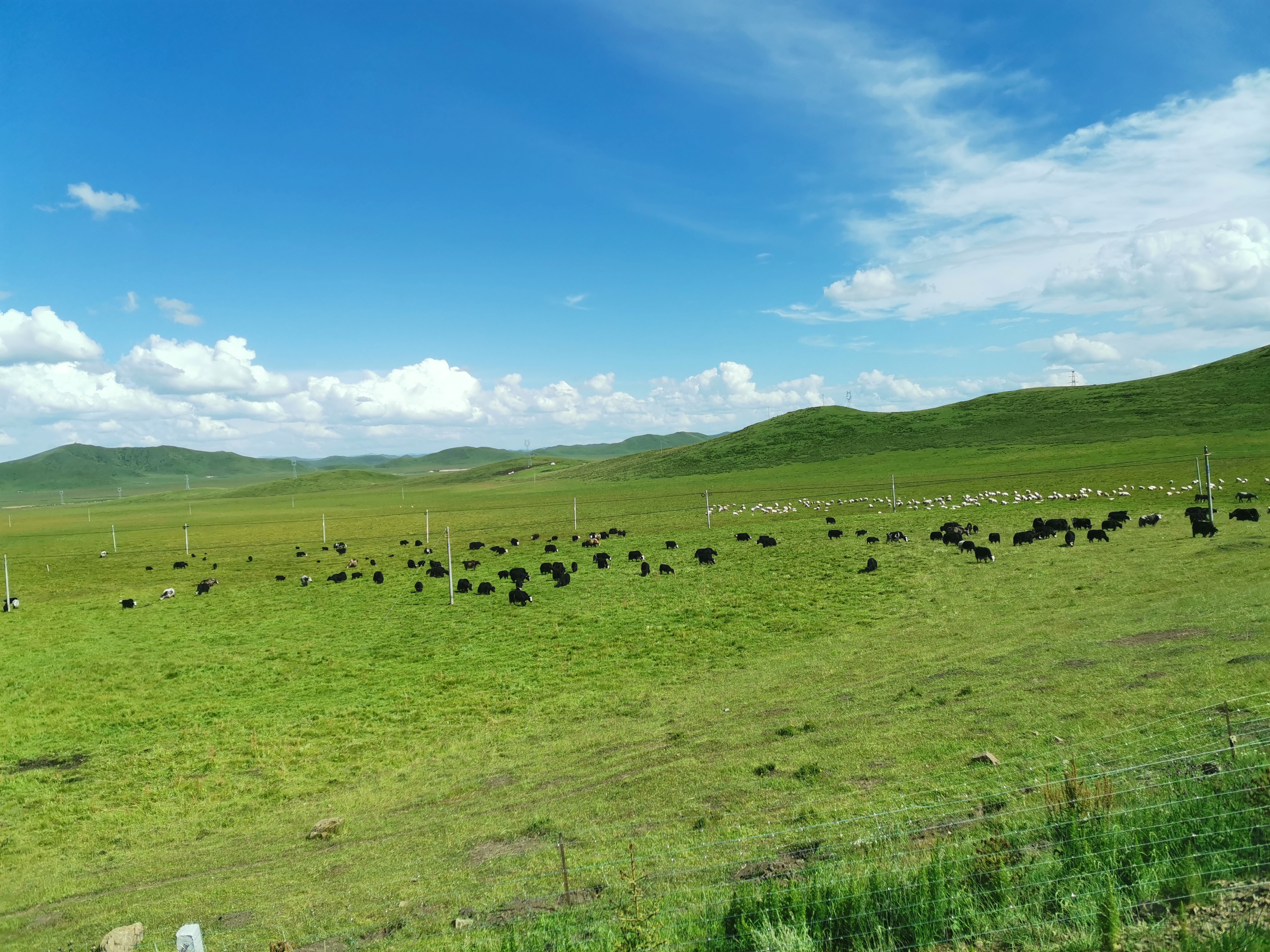 走遍千山万水,看遍世间所有美景（走过千山万水,看遍所有风景）