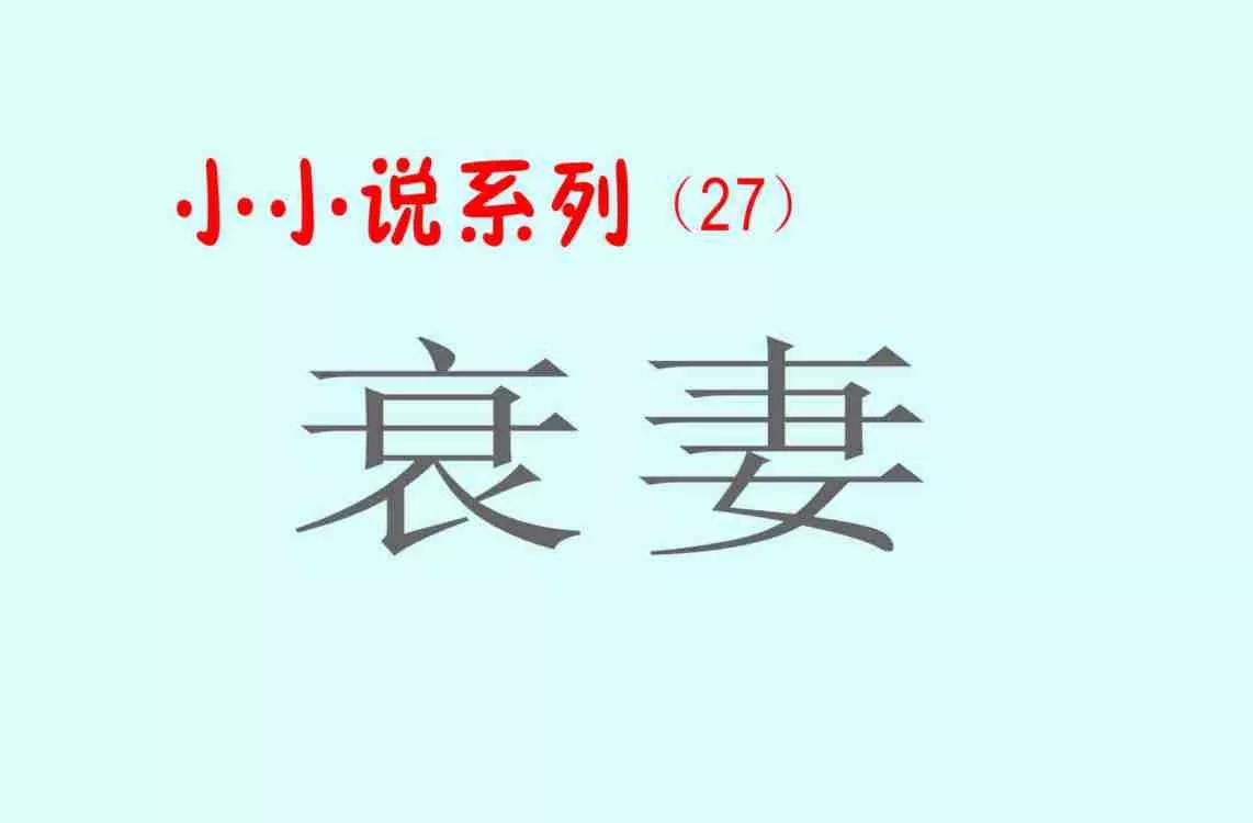 衰妻（小小说系列27）