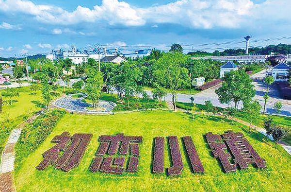 「大志的小小说」《初恋小镇》