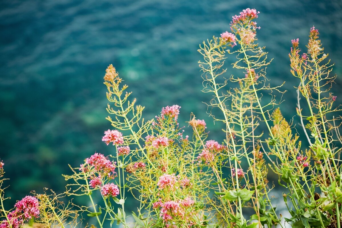 风景就在身边：她发现出血的地方在自己的胳膊上，她露出了笑容