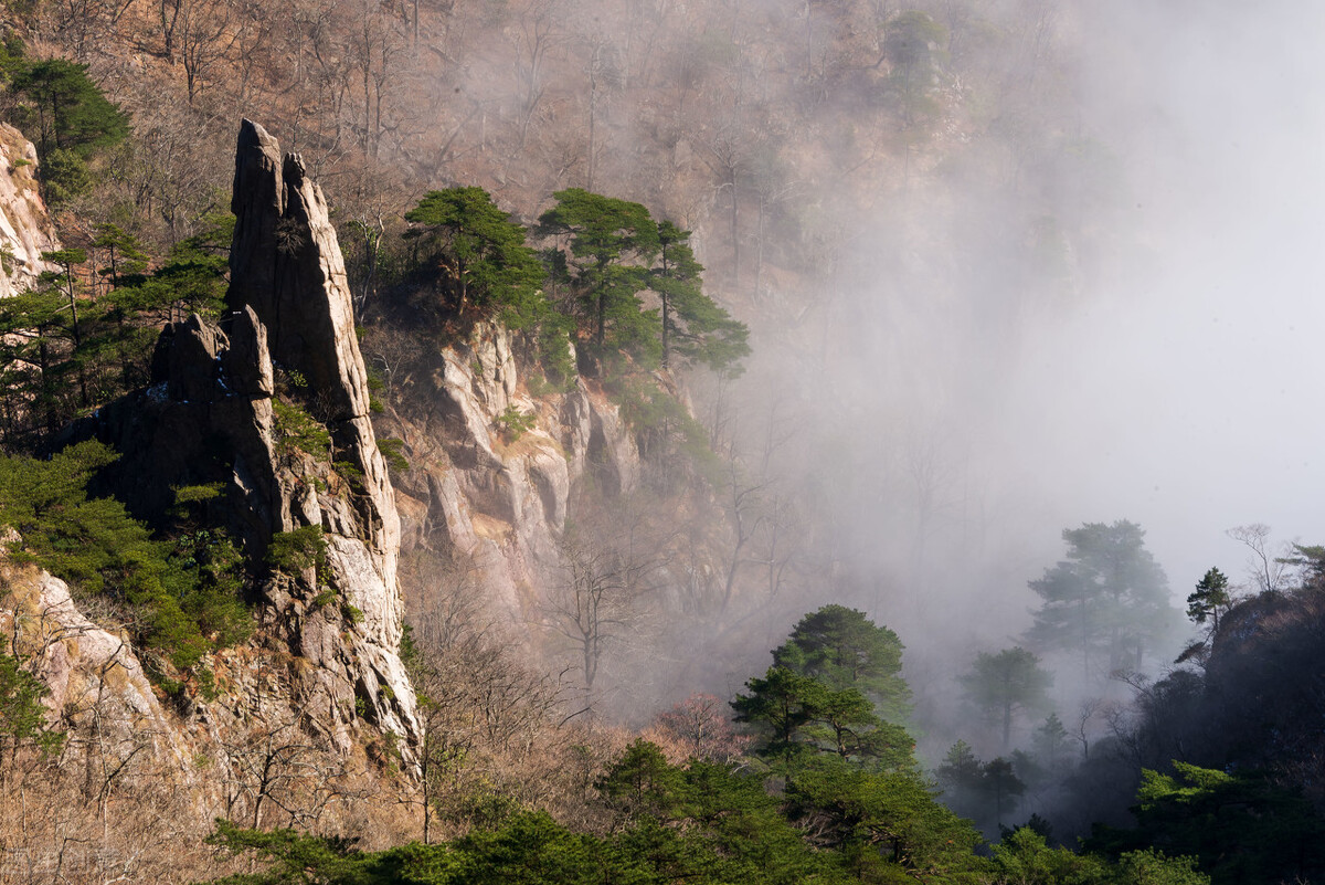 小学满分作文《每个站点都有风景》人生的每个站点，都有美丽风景