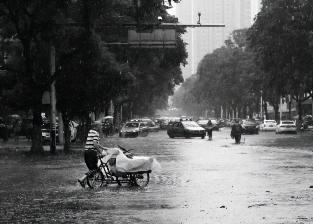 小学满分作文《一个夏日的早晨》窗外雨淋洒，善良暖人心