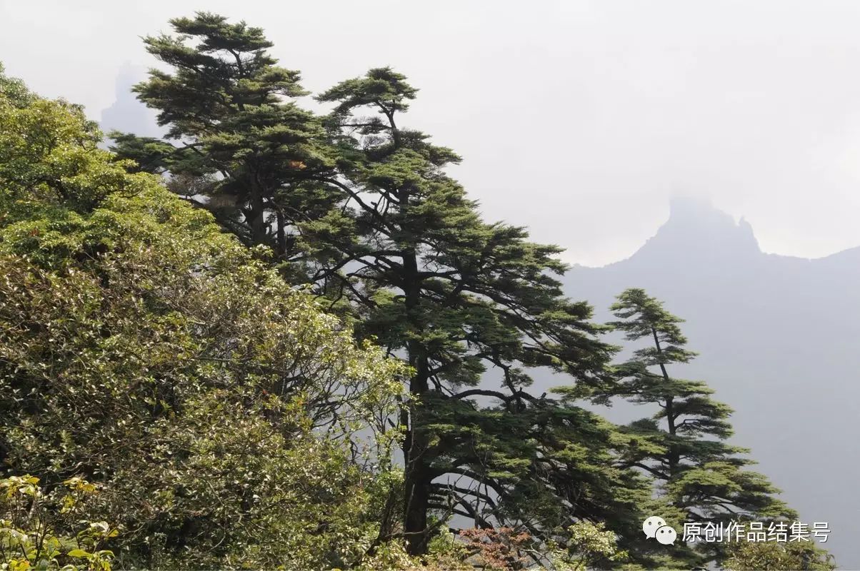 青 山——纪念我的岳父