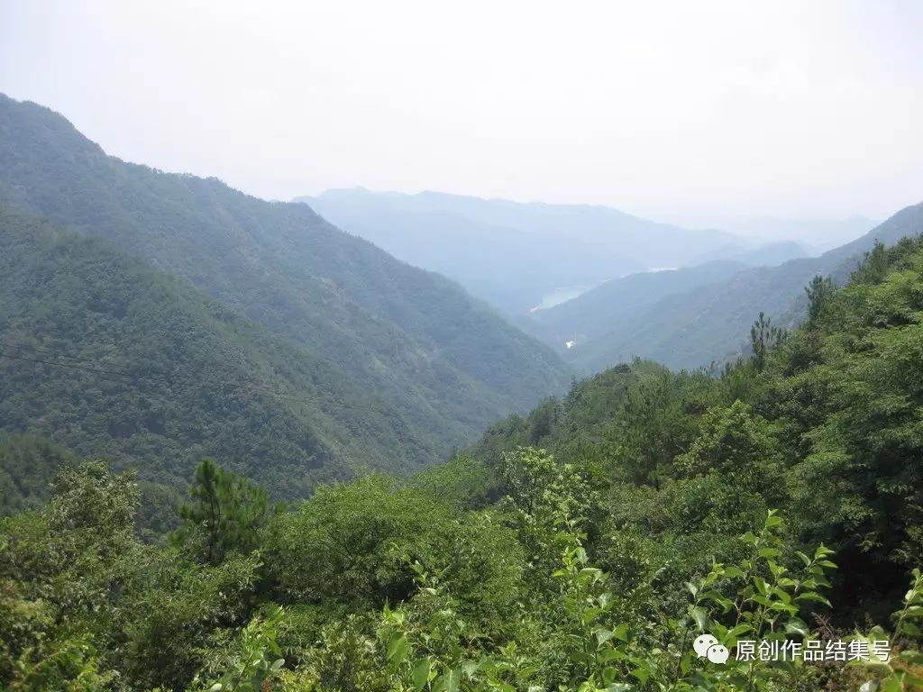 青 山——纪念我的岳父