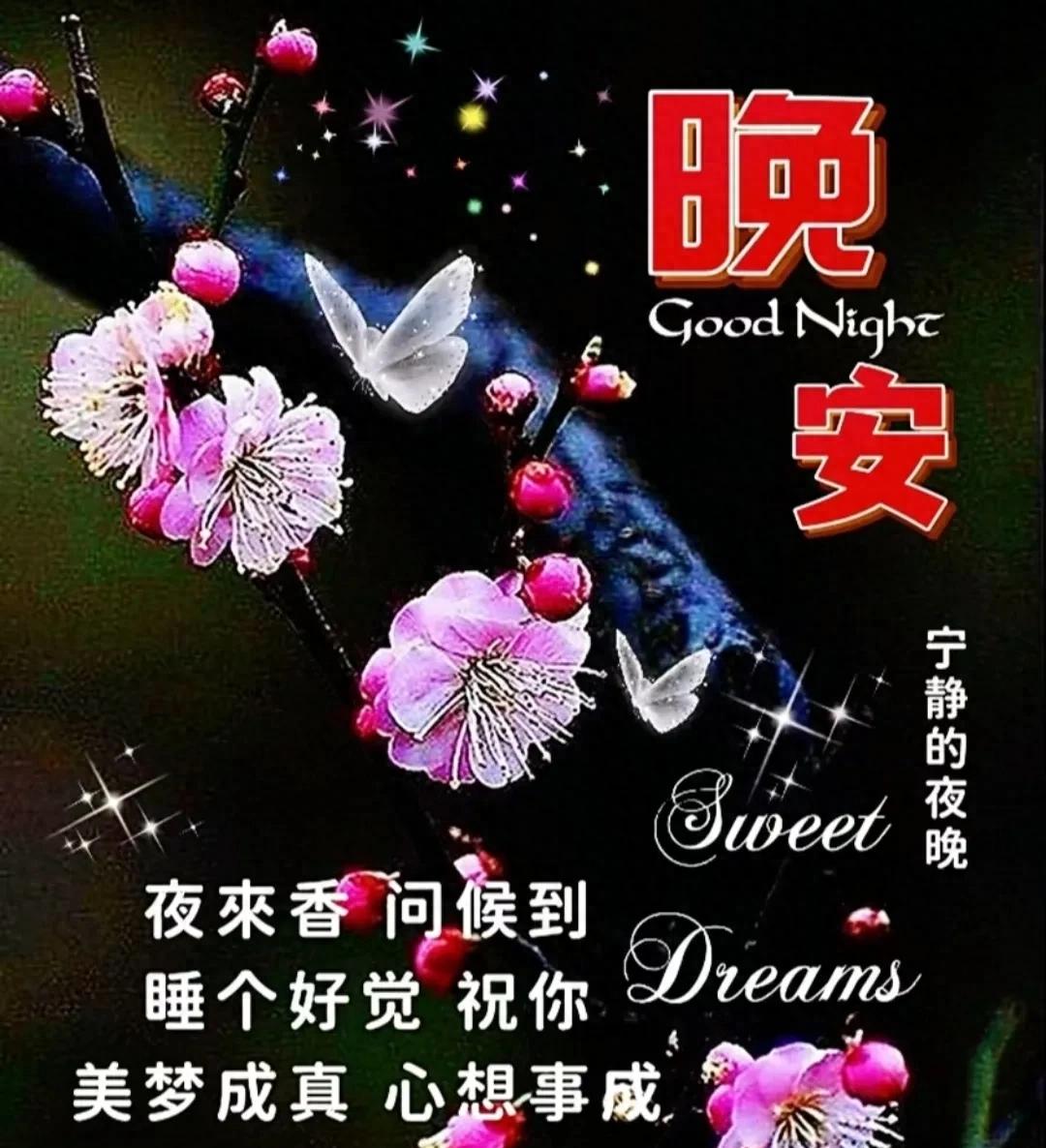 夜已深,晚安的说说