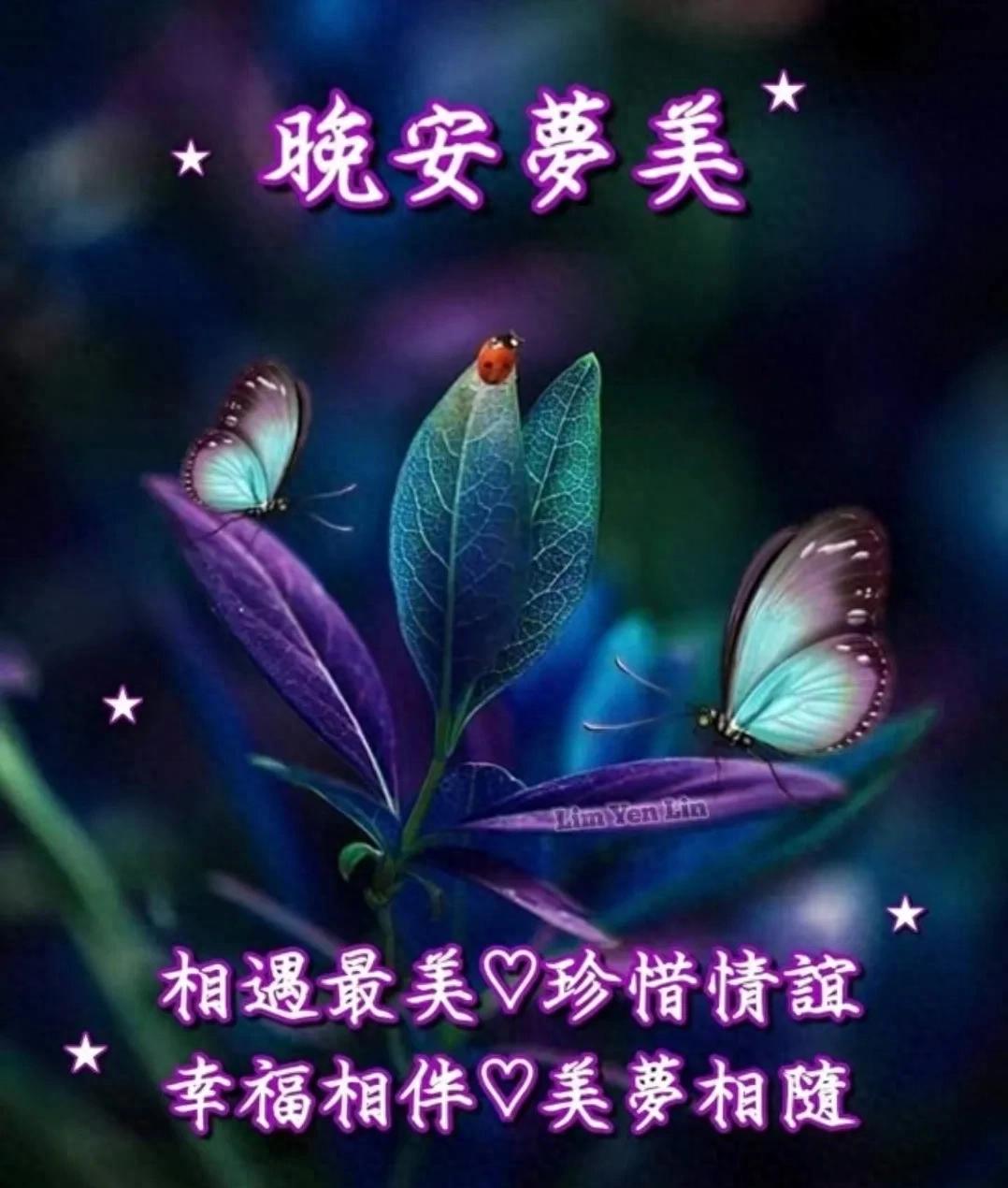 夜已深,晚安的说说