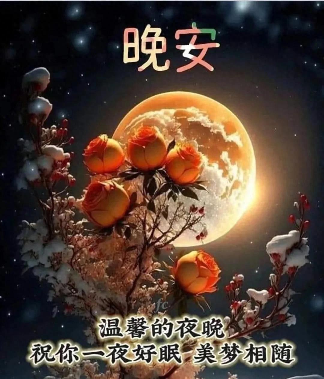 夜已深,晚安的说说