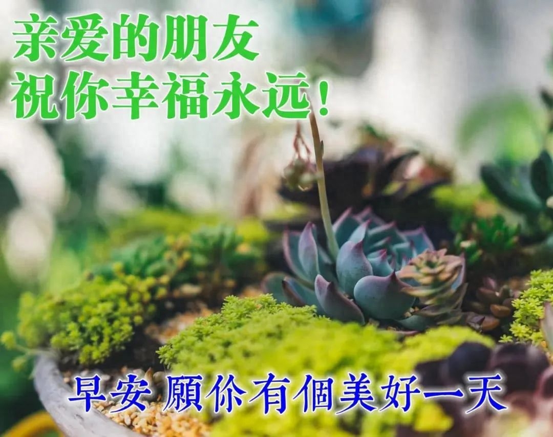 早上好!最美的早安祝福送给你