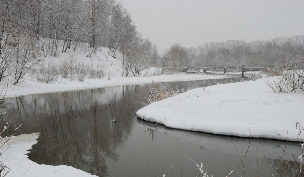 江雪柳宗元古诗讲解