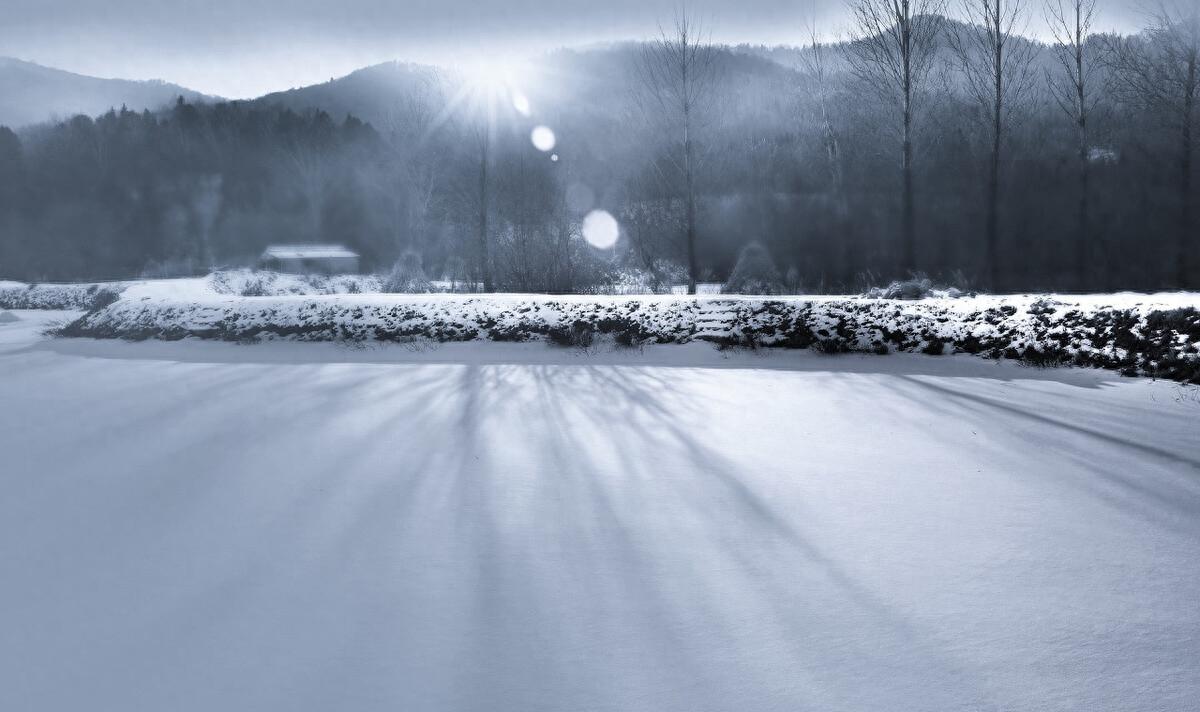 江雪柳宗元古诗讲解